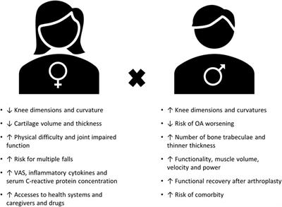 Innate Immunity at the Core of Sex Differences in Osteoarthritic Pain?